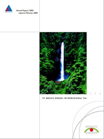 Annual Report 2000