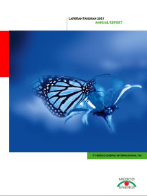 Annual Report 2001