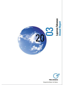 Annual Report 2003