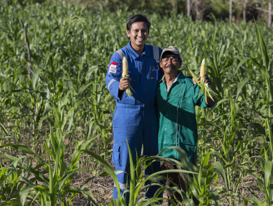 Padi SRI (System of Rice Intensification) Organik: Sebuah Inovasi