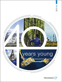 Annual Report 2019