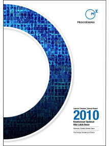 Annual Report 2010