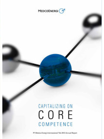 Annual Report 2012