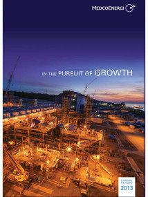 Annual Report 2013