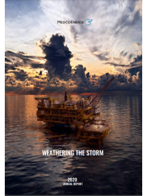 Annual Report 2020